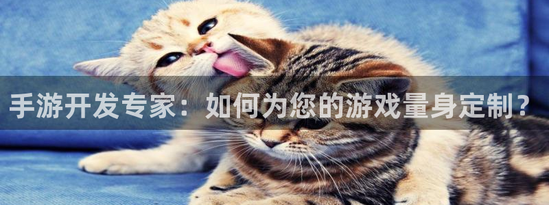 恒盛娱乐平台：手游开发专家：如何为您的游戏量身定制？
