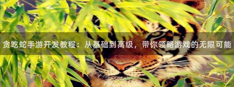 恒盛娱乐首页：贪吃蛇手游开发教程：从基础到高级，带你领略游戏