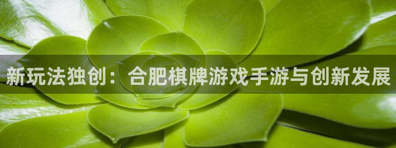 恒盛娱乐注册：新玩法独创：合肥棋牌游戏手游与创新发展