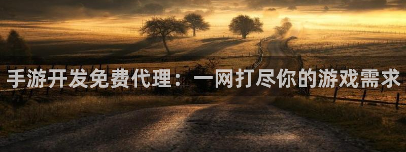 恒盛娱乐：手游开发免费代理：一网打尽你的游戏需求