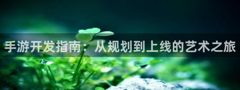 恒盛娱乐登录：手游开发指南：从规划到上线的艺术之旅