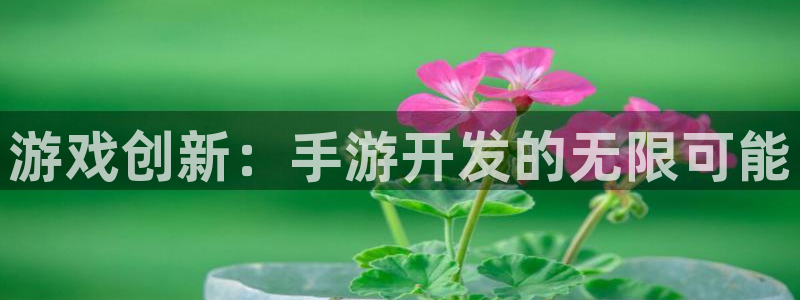 恒盛娱乐app：游戏创新：手游开发的无限可能