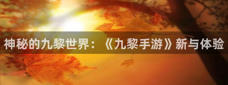 恒盛娱乐注册：神秘的九黎世界：《九黎手游》新与体验