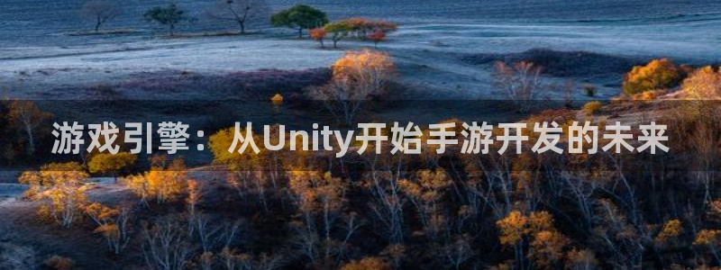 恒盛娱乐平台：游戏引擎：从Unity开始手游开发的未来