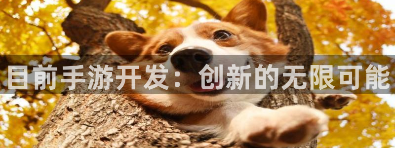 恒盛娱乐：目前手游开发：创新的无限可能