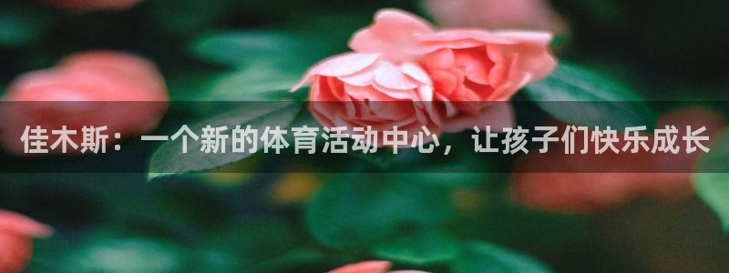 678体育app