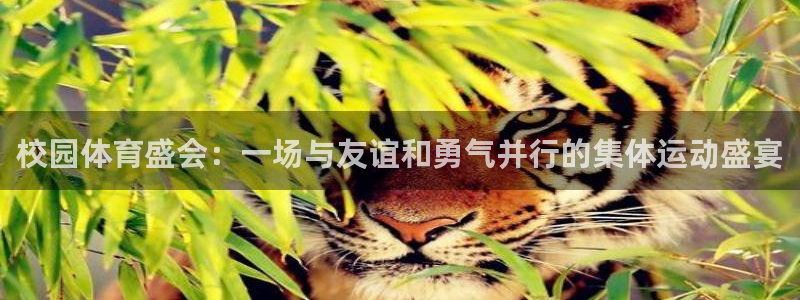 678体育官网地址