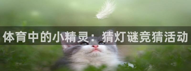 678体育官网地址