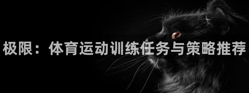 678体育官网地址