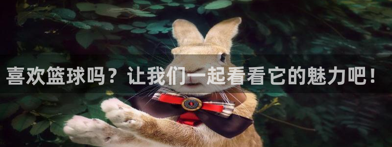 皇冠678体育：喜欢篮球吗？让我们一起看看它的魅力吧！